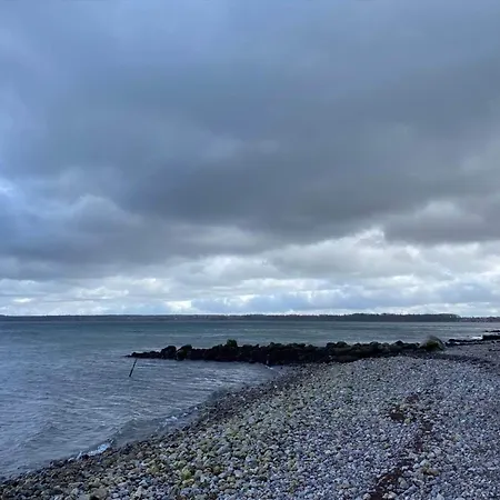 6 Person In Borkop-by Traum